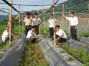 Mô hình trồng đắng lấy hạt ở xóm Chiềng, xã Mai Hạ đã đem lại hiệu quả kinh tế cao, được Đảng bộ xã coi là một hướng đi hiệu quả trong chuyển đổi cơ cấu cây trồng.