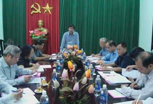 Đồng chí Trần Đăng Ninh, Phó Chủ tịch UBND tỉnh phát biểu kết luận buổi làm việc.