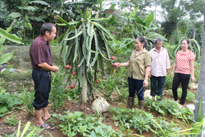 Thực hiện NQ của Đảng uỷ xã, nhiều gia đình ở Nật Sơn đã mạnh dạn chuyển đổi sang các loại cây trồng có giá trị kinh tế cao.