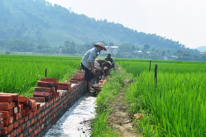Nhân dân xã Hạ Bì (Kim Bôi) đóng góp ngày công xây dựng kênh mương theo chuẩn NTM phục vụ sản xuất nông nghiệp.

