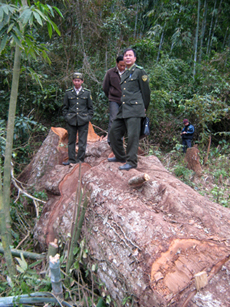 Cán bộ kiểm lâm phối hợp với BQL Khu bảo tồn thiên nhiên Hang Kia thường xuyên bám sát địa bàn để củng cố hiệu quả quản lý và bảo vệ rừng.