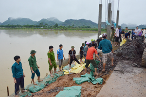 Huyện Lương Sơn huy động lực lượng tại chỗ tổ chức ứng cứu nguy cơ vỡ đê Thanh Lương (xã Thanh Lương).