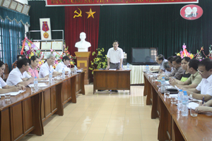 Đồng chí Bùi Văn Cửu, Phó Chủ tịch Thường trực UBND tỉnh phát biểu tại buổi làm việc.