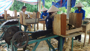 HTX sản xuất - kinh doanh nông - lâm nghiệp xã Hiền Lương (Đà Bắc) được thành lập tháng 10/2014, góp phần giải quyết việc làm cho nhiều lao động địa phương với mức thu nhập bình quân khoảng 2 triệu đồng /người/tháng.