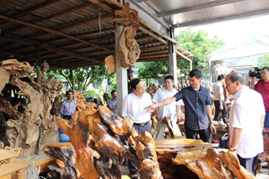 Đoàn công tác đi kiểm tra mô hình sản xuất gỗ lũa cho thu nhập cao tại xã Lâm Sơn.