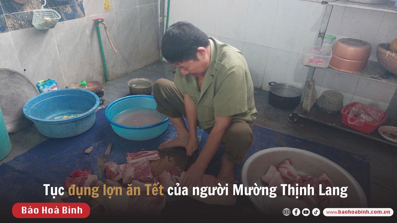 Tục đụng lợn ăn Tết của người Mường Thịnh Lang