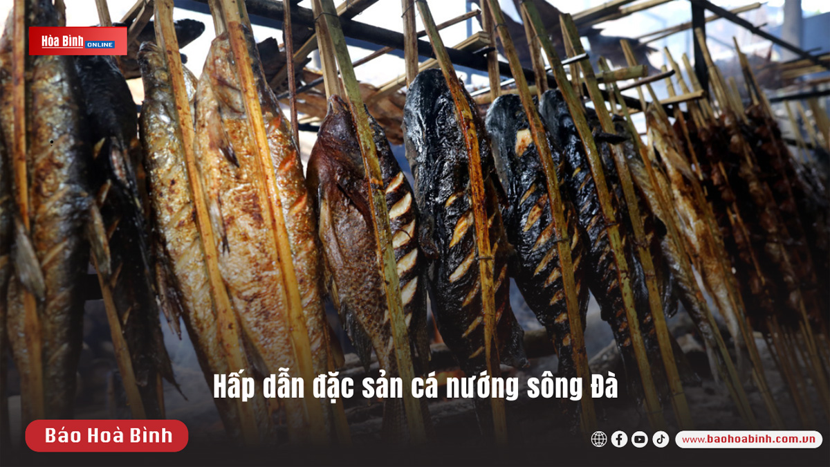 Hấp dẫn đặc sản cá nướng sông Đà